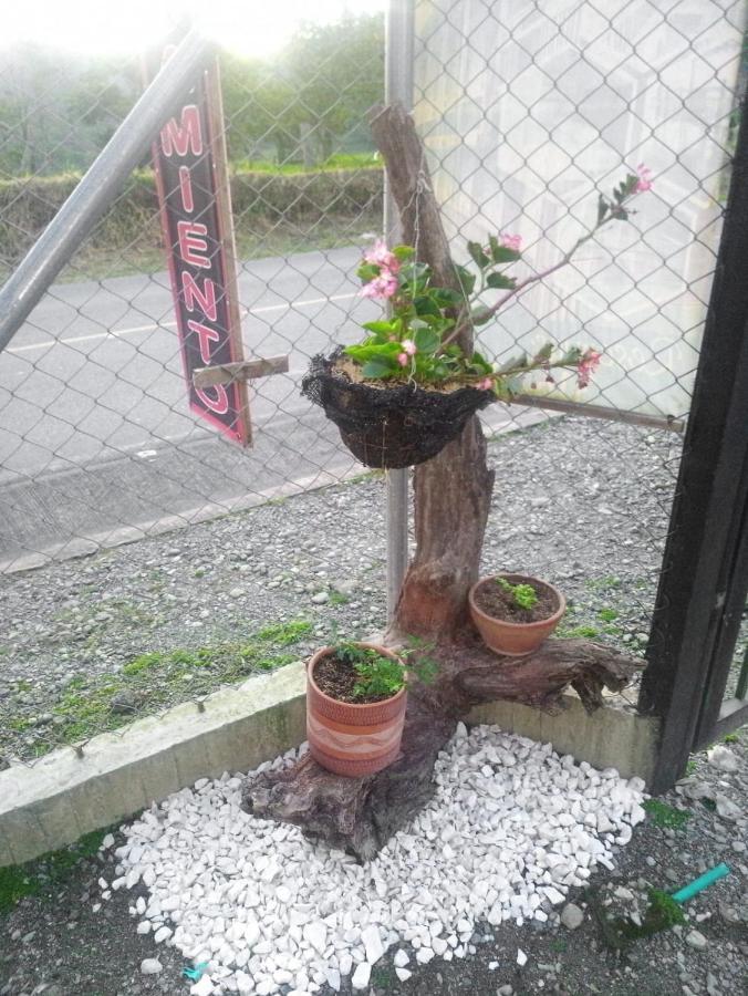 Alojamiento Rural San Francisco Salento Buitenkant foto